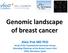 Genomic landscape of breast cancer