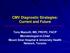 CMV Diagnostic Strategies: Current and Future