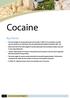 Cocaine. Key Points 60 ILLICIT DRUG DATA REPORT