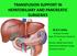 TRANSFUSION SUPPORT IN HEPATOBILIARY AND PANCREATIC SURGERIES