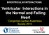 Ventricular Interactions in the Normal and Failing Heart