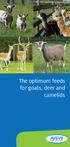 The optimum feeds for goats, deer and camelids