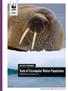 REPORT WWF ARCTIC PROGRAMME. State of Circumpolar Walrus Populations. Odobenus rosmarus. Prepared by Jeff W. Higdon and D.