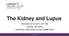 The Kidney and Lupus REVISED BY THE LUPUS ONTARIO SUPPORT AND EDUCATION COMMITTEE LUPUS ONTARIO 1