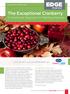 The Exceptional Cranberry A Nutritional Approach to Fighting Infection