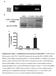 Supplementary Figure 1. Establishment of prostacyclin-secreting hmscs. (a) PCR showed the integration of the COX-1-10aa-PGIS transgene into the