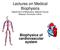 Lectures on Medical Biophysics Department of Biophysics, Medical Faculty, Masaryk University in Brno. Biophysics of cardiovascular system