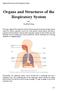 Organs and Structures of the Respiratory System