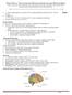 NOTES. Brain and Neural Anatomy and Physiology Review. Developed by Fabio Comana, MA., MS., All rights Reserved Page 1