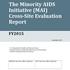 The Minority AIDS Initiative (MAI) Cross-Site Evaluation Report
