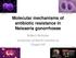 Molecular mechanisms of antibiotic resistance in Neisseria gonorrhoeae