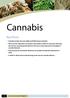 Cannabis. Key Points 36 ILLICIT DRUG DATA REPORT