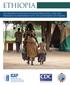 icap support to the scale-up of hiv prevention, care, and treatment in partnership with the government OF ETHIOPIA