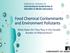 Food Chemical Contaminants and Environment Pollutants. What Roles Do They Play in the Double Burden of Malnutrition?