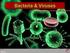 Bacteria & Viruses. Biology Science Department