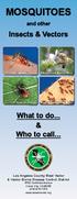 MOSQUITOES. and other. Insects & Vectors. Red Imported Fire Ants. What to do... Who to call...