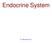 Endocrine System Dr. Motamedi 2017