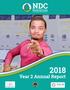 2018 Year 2 Annual Report
