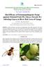 Bio-Efficacy of Entomopathogenic Fungi against Oriental Fruit Fly (Dacus Dorsalis H.) Infesting Guava in River Bed Area of Ganga