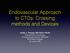 Endovascular Approach to CTOs: Crossing methods and Devices