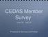 CEDAS Member Survey. June 25 - July 25. Products & Services Committee