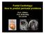 Foetal Cardiology: How to predict perinatal problems. Prof. I.Witters Prof.M.Gewillig UZ Leuven