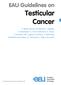 EAU Guidelines on Testicular Cancer