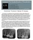 Limited To Endodontics Newsletter. Limited To Endodontics A Practice Of Endodontic Specialists June Volume 4