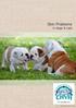 Skin Problems. in dogs & cats. Ph: (02) c International Veterinary Branding