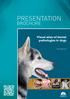 Medicina pediátrica en pequeños animales. PrESEnTATIon. BroChurE. Visual atlas of dental pathologies in dogs. Javier Collados Soto