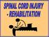 Spinal Injured patients getting adequate rehabilitation