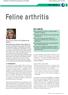 Feline arthritis. Introduction HOW I APPROACH... Sarah Caney, BVSc, PhD, DSAM(Feline), MRCVS