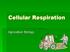 Cellular Respiration. Agriculture Biology