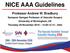 NICE AAA Guidelines. Professor Andrew W. Bradbury