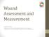 Wound Assessment and Measurement