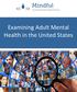 Examining Adult Mental Health in the United States