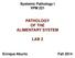 Systemic Pathology I VPM 221 PATHOLOGY OF THE ALIMENTARY SYSTEM LAB 2