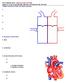 P215 SPRING 2019: CIRCULATORY SYSTEM Chaps 13, 14 & 15: pp , , , I. Major Functions of the Circulatory System