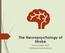 The Neuropsychology of