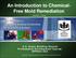 An Introduction to Chemical- Free Mold Remediation