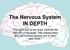 The Nervous System IN DEPTH