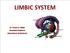 LIMBIC SYSTEM. Dr. Amani A. Elfaki Associate Professor Department of Anatomy