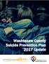 Washtenaw County Suicide Prevention Plan 2017 Update