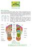 Reflexology Guide. Mini Map of the Body. Ital Therapies Tel: or
