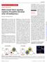 Bidirectional Notch signaling regulates Drosophila intestinal stem cell multipotency