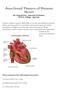 Junctional Tissues of Human Heart