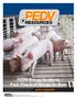 PEDV RESOURCES. PEDV Brings Its Worst. Pork Checkoff Brings Its Best. pork.org/pedv