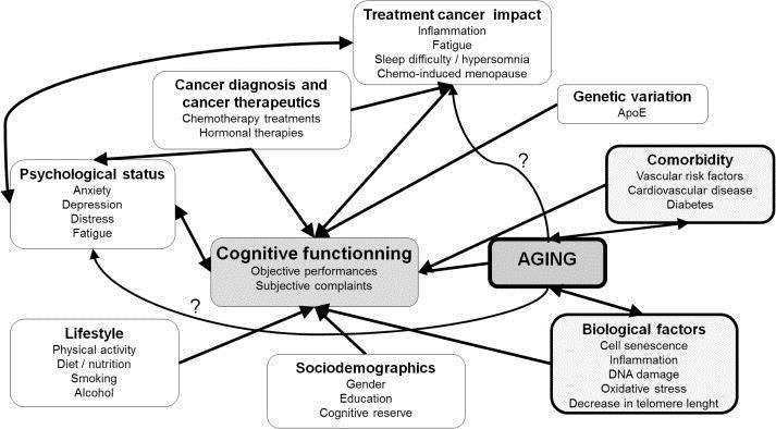 Comprehensive Geriatric Assessment Cognition Multiple factors affect cognition in cancer patients Reprinted from Cancer Treatment Reviews, Vol.