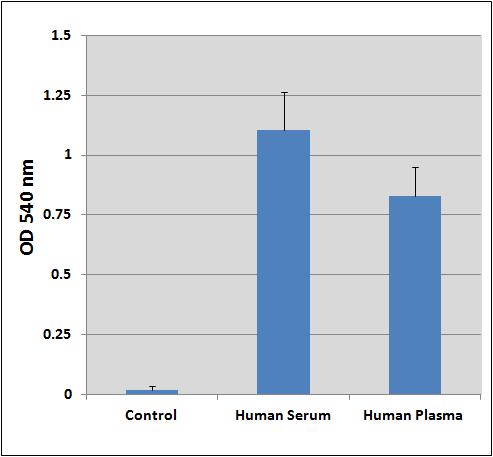 Figure 2: Detection of lipids from Human Serum or Human Plasma.
