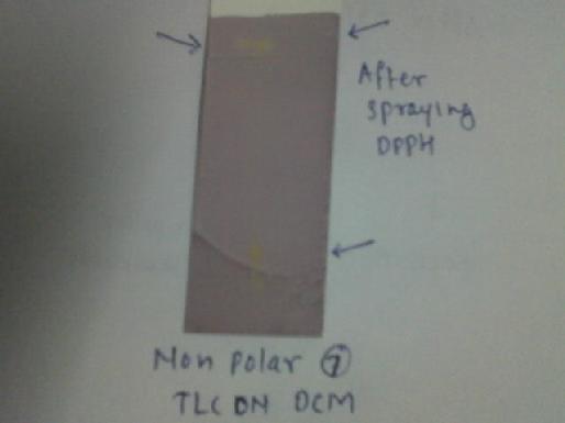 TLC on DCM plate 2A After DPPH spraying plate 2 B Antioxidant